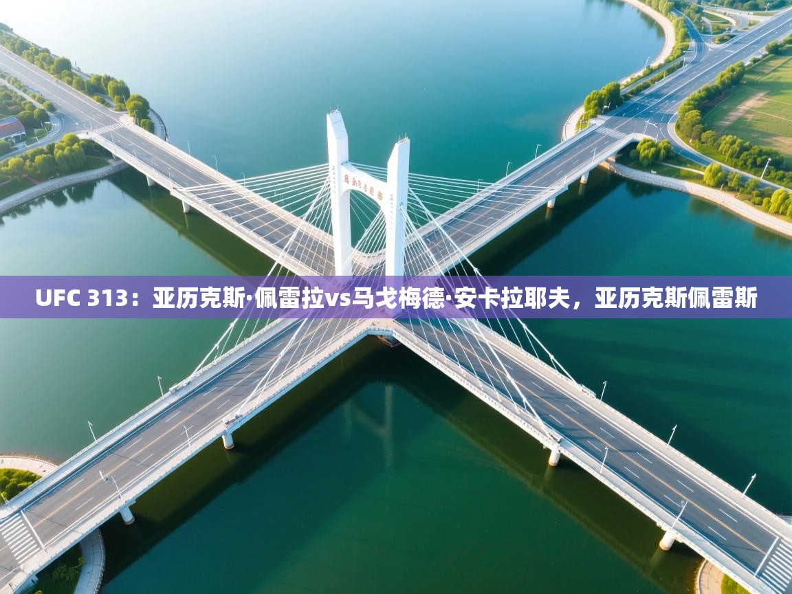 UFC 313:亚历克斯·佩雷拉vs马戈梅德·安卡拉耶夫,亚历克斯佩雷斯 第1张