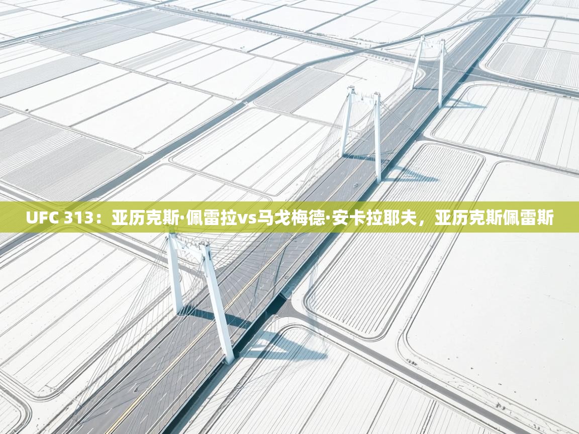 UFC 313:亚历克斯·佩雷拉vs马戈梅德·安卡拉耶夫,亚历克斯佩雷斯 第2张