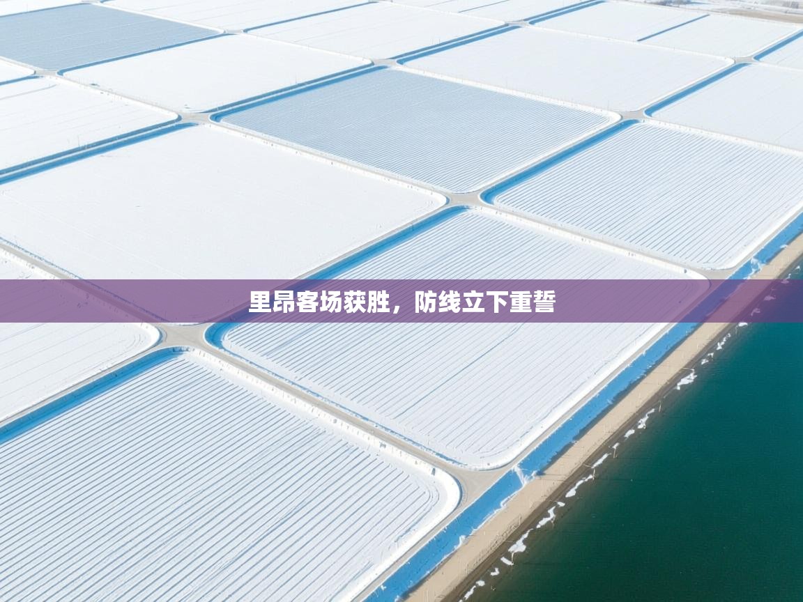 里昂客场获胜，防线立下重誓  第1张