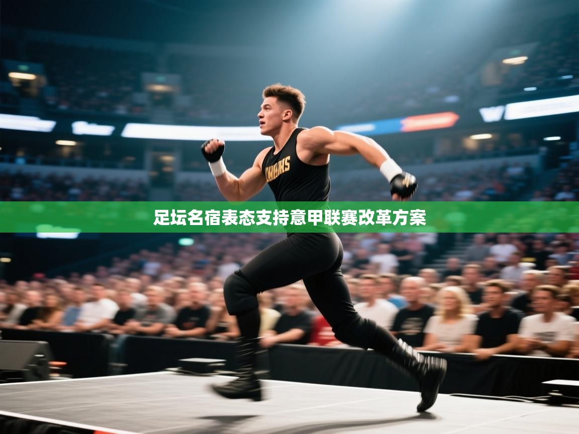 足坛名宿表态支持意甲联赛改革方案  第1张