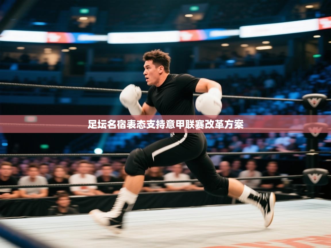 足坛名宿表态支持意甲联赛改革方案  第2张