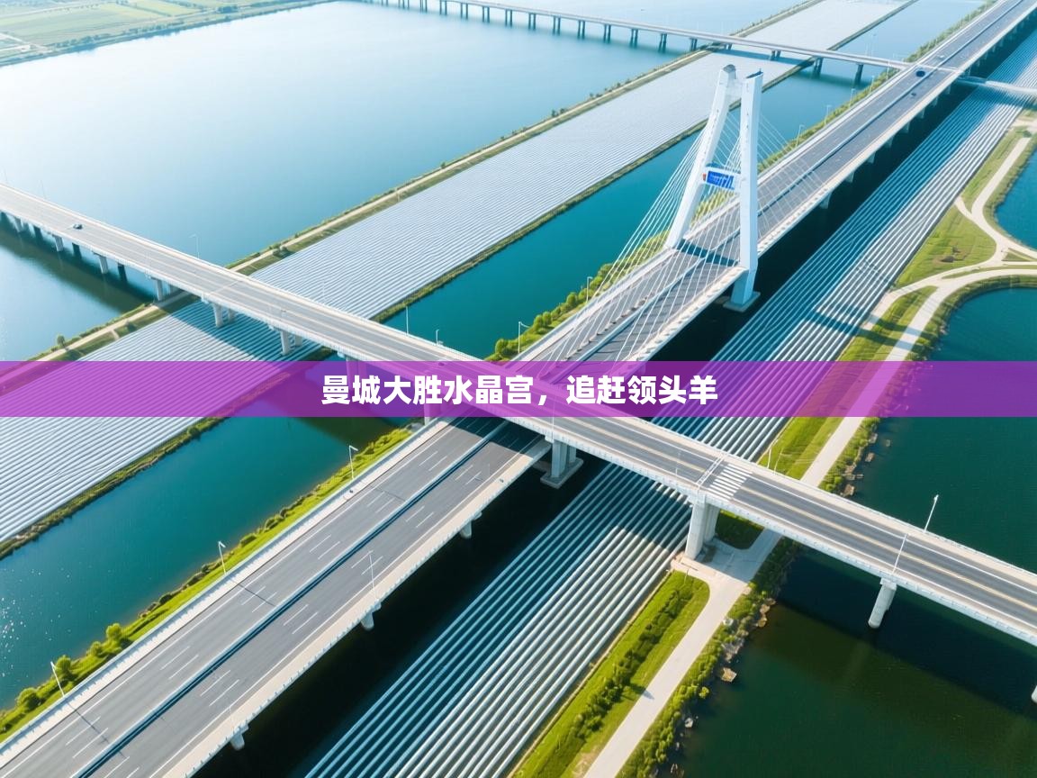 曼城大胜水晶宫，追赶领头羊  第1张