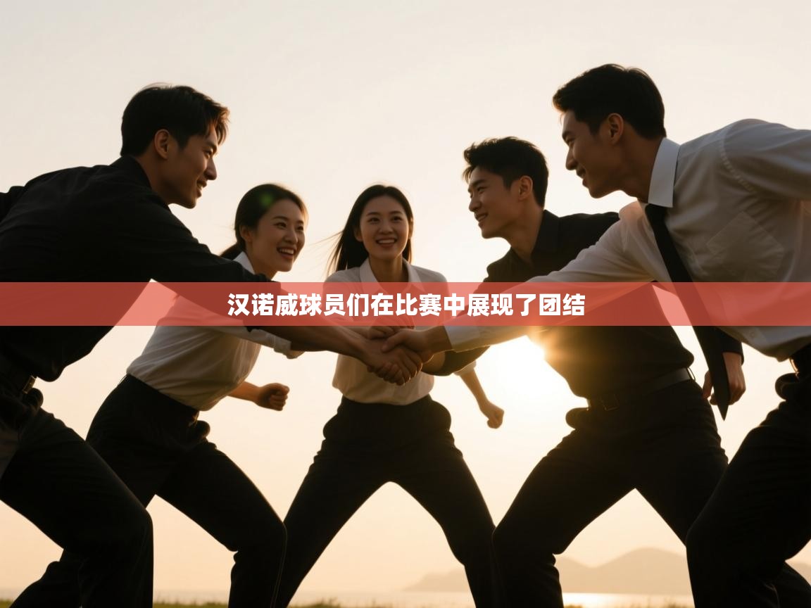 汉诺威球员们在比赛中展现了团结  第1张