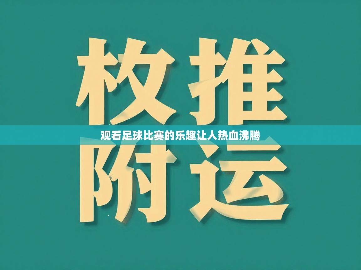 观看足球比赛的乐趣让人热血沸腾  第1张