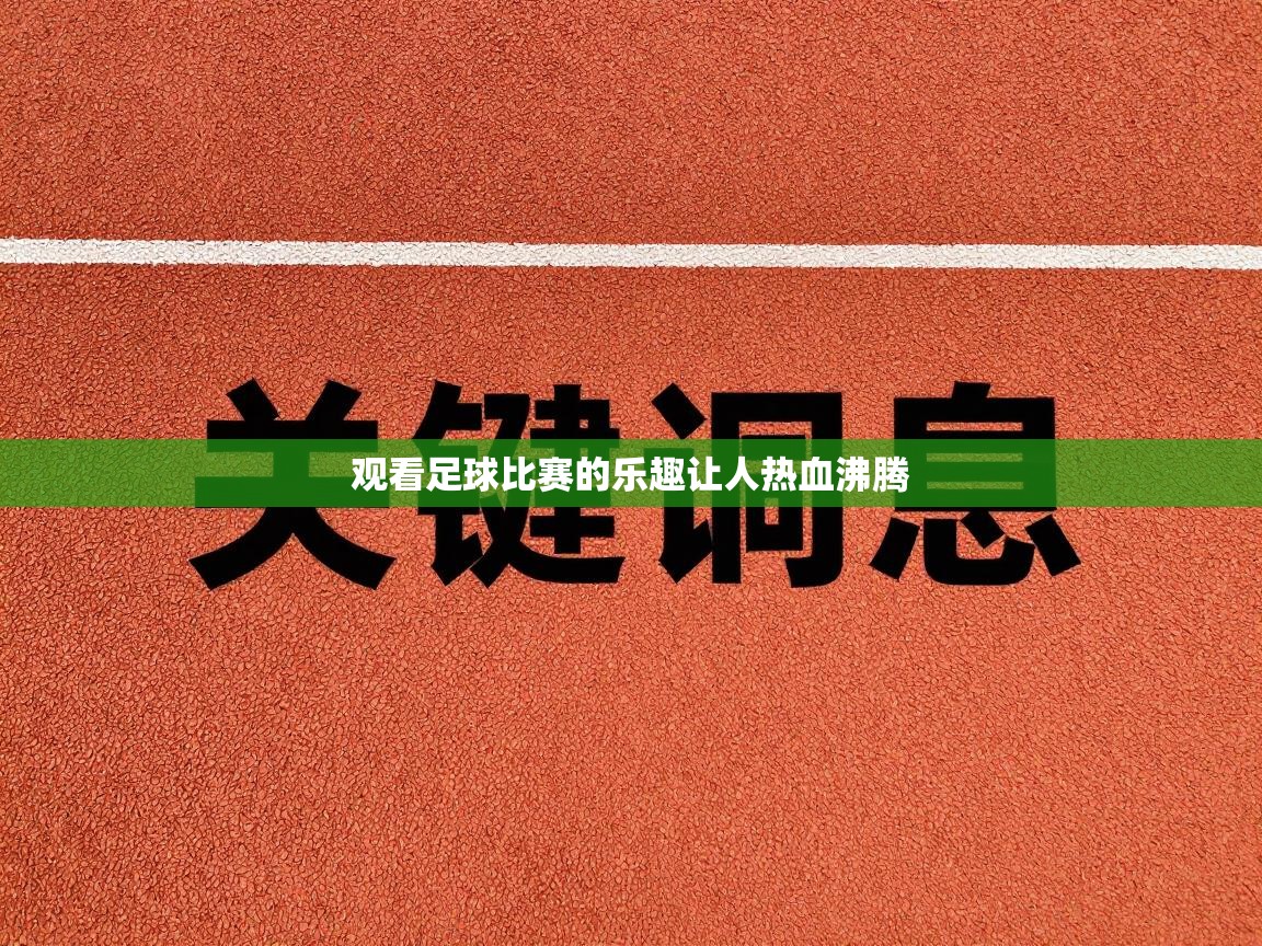 观看足球比赛的乐趣让人热血沸腾  第2张