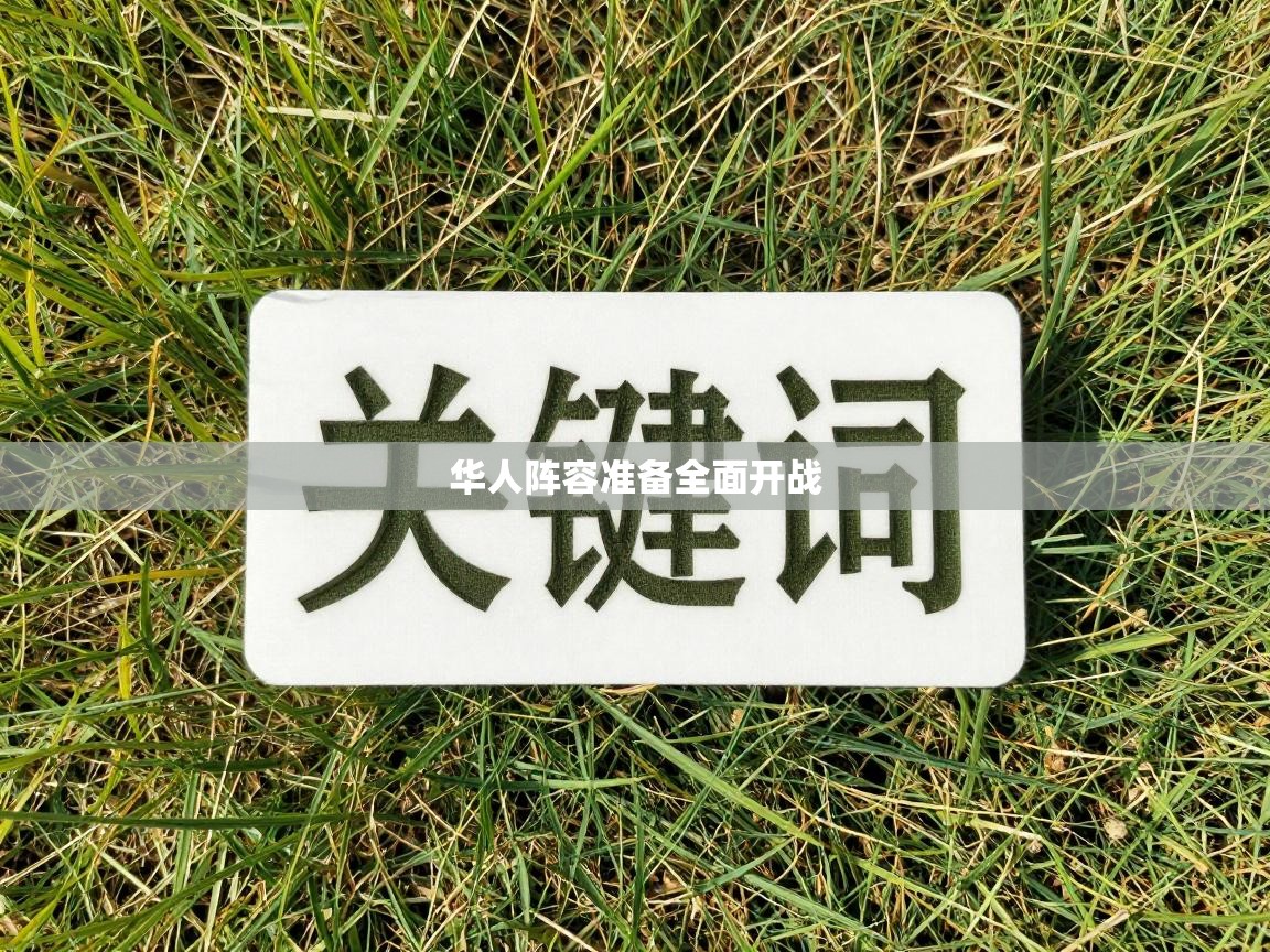 华人阵容准备全面开战  第2张