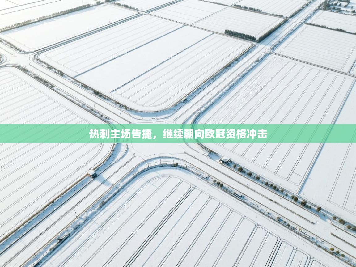 热刺主场告捷，继续朝向欧冠资格冲击  第2张