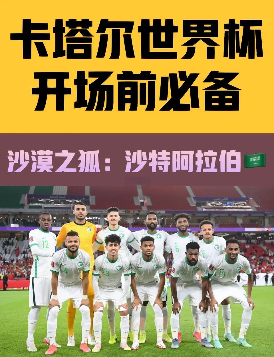 开云体育官网入口网页-沙特阿拉伯球队在比赛中力压对手，晋级下轮的简单介绍